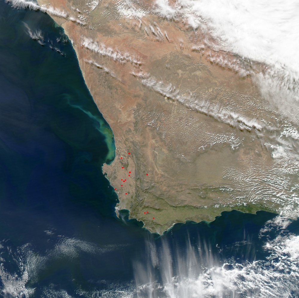 Phytoplankton off South African Coast: Natural Hazards