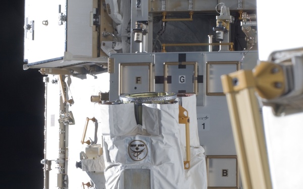 MT and CETA during Joint Operations