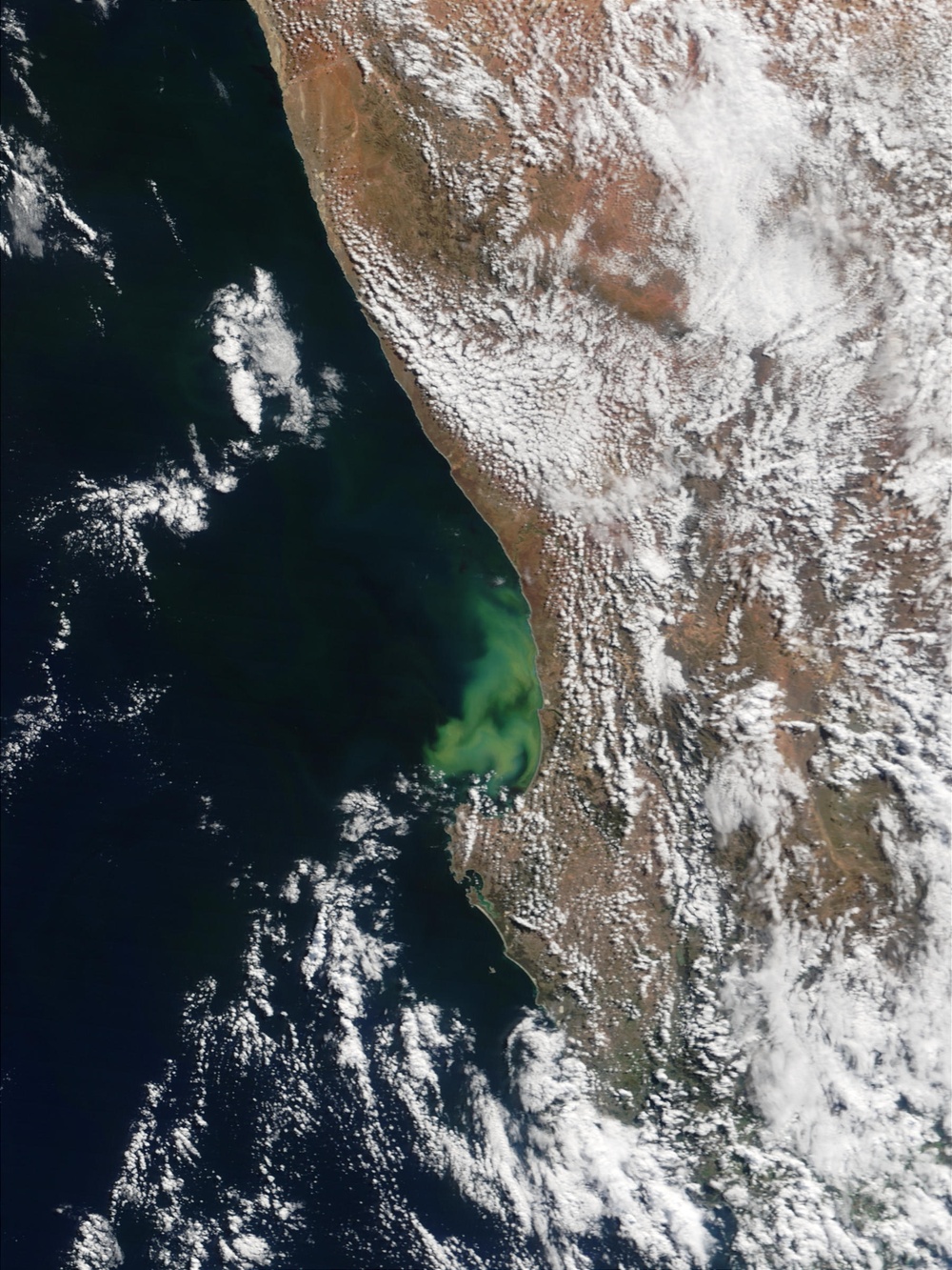 Phytoplankton off South African Coast: Natural Hazards