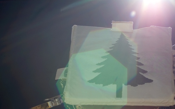 Floating Potential Probe FPP