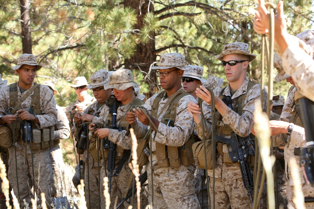 Mountain Warfare Training Center Bridgeport California
