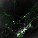 Blackout Hits U.S. and Canadian Cities: Natural Hazards