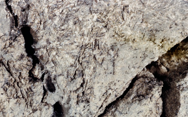 LUNAR SAMPLES - APOLLO 12 (Surveyor III)