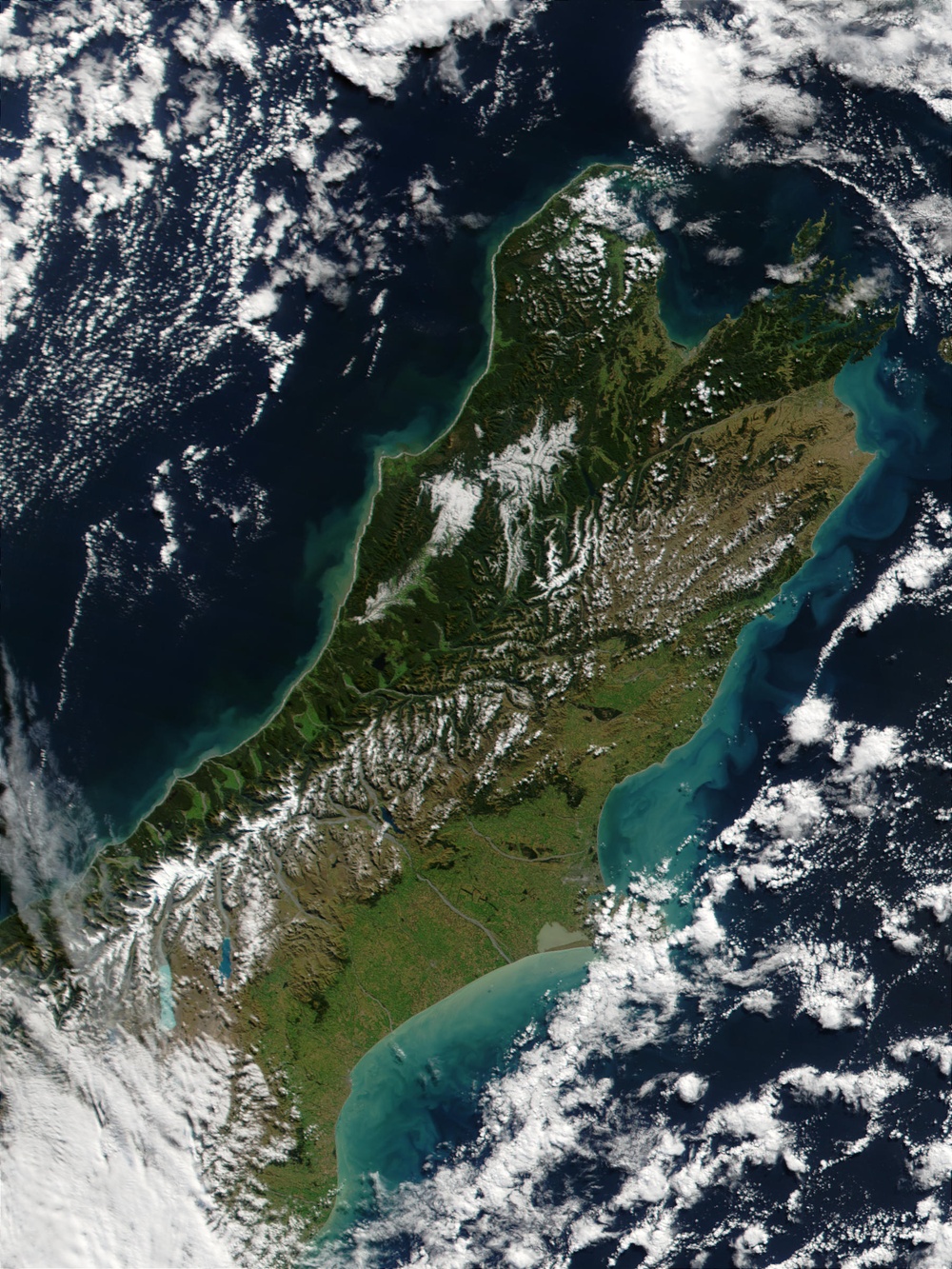 Phytoplankton Bloom Around New Zealand: Natural Hazards