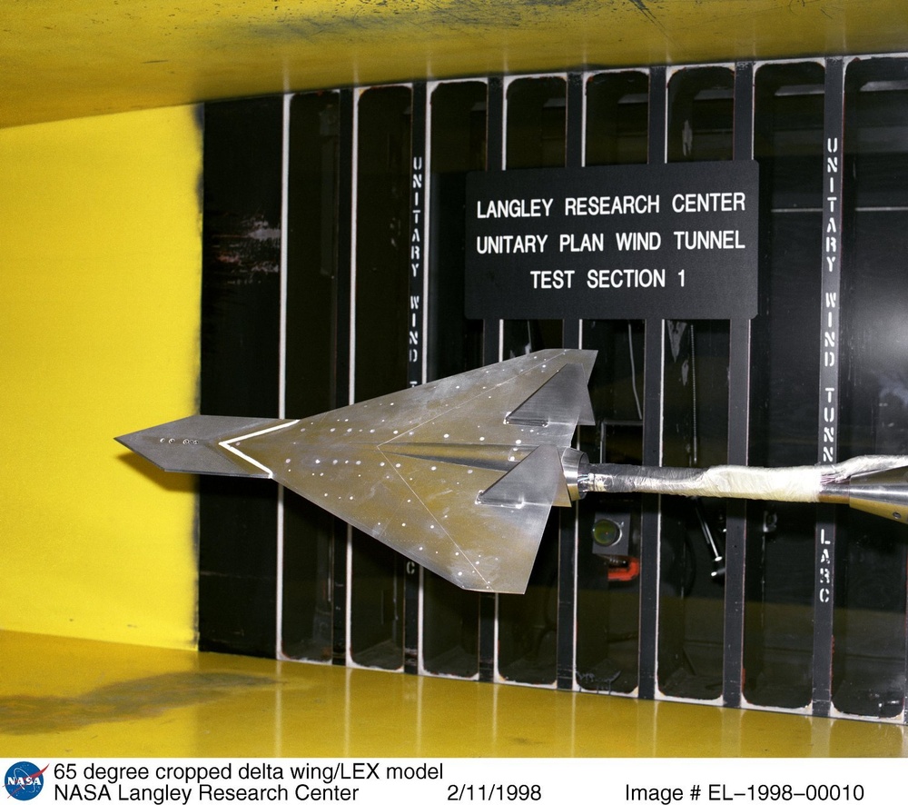 65 degree cropped delta wing/LEX model