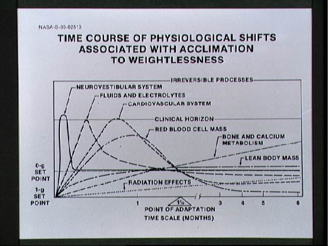 Chart for presentation concerning Physiological shifts during weightlessness