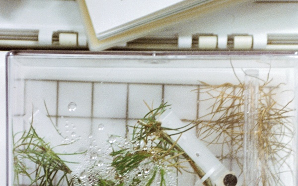 PGF, Close-ups of tree seedlings and Helms working at middeck locker experiment