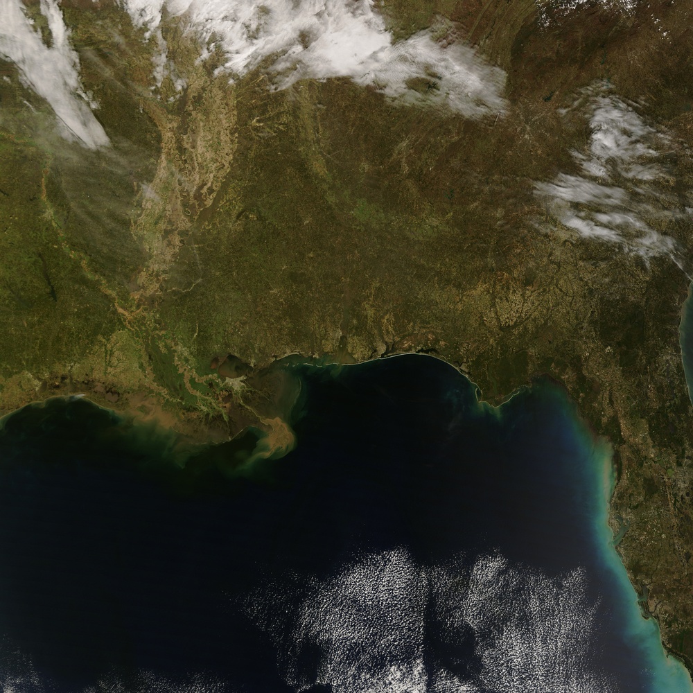 Spring Migration: Ruby-throated Hummingbirds Reach U.S.: Image of the Day