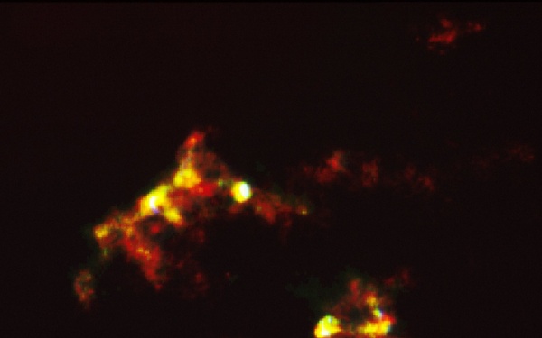 HST Reveals Stunning Detail in Herbig-Haro Object