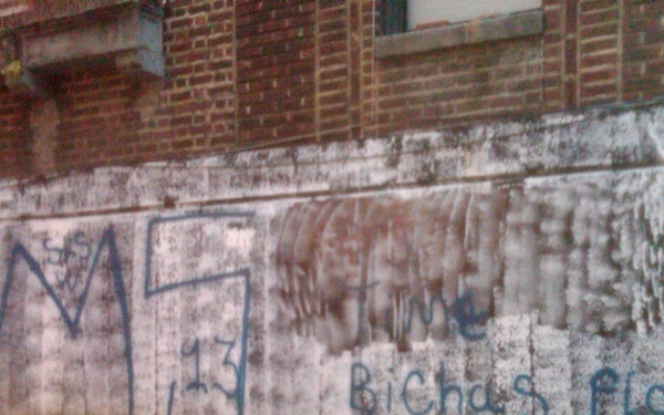 Designation targets Latin American gang Mara Salvatrucha (MS-13)