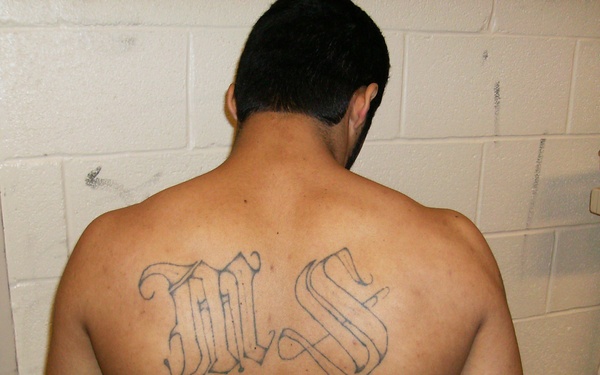 Designation targets Latin American gang Mara Salvatrucha (MS-13)