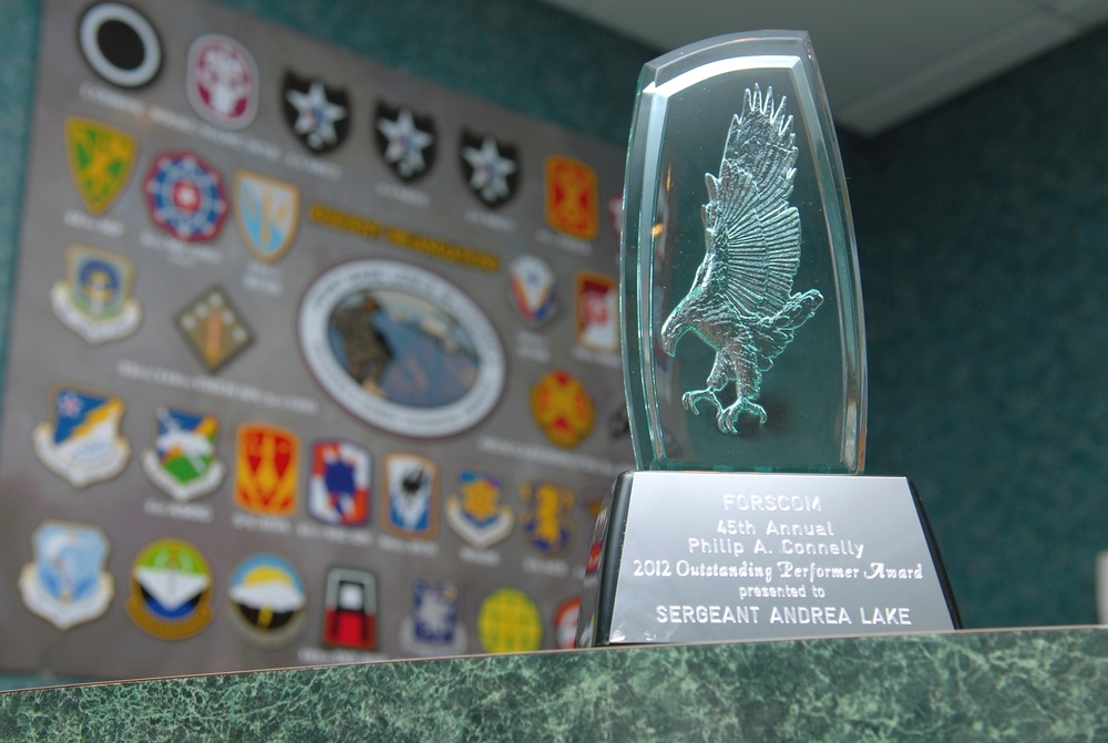 17th Fires Brigade recognized for 'setting the standard'