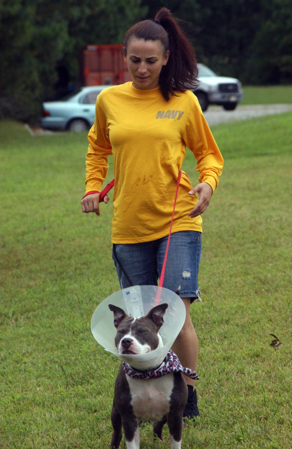Sailors volunteer at Virginia Beach animal shelter
