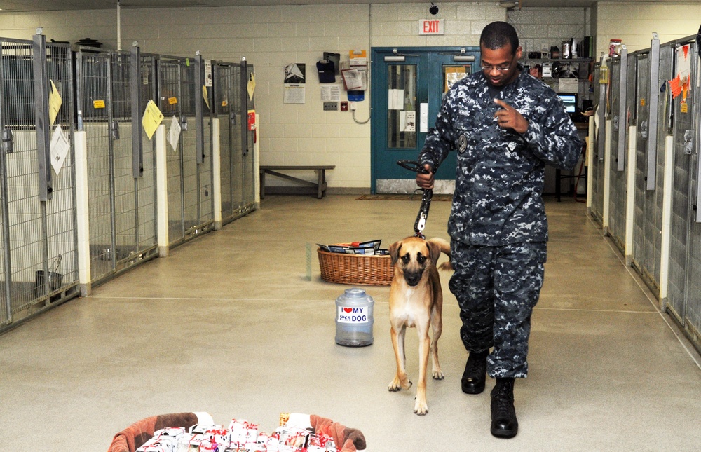Sailors volunteer at Virginia Beach animal shelter