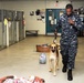 Sailors volunteer at Virginia Beach animal shelter