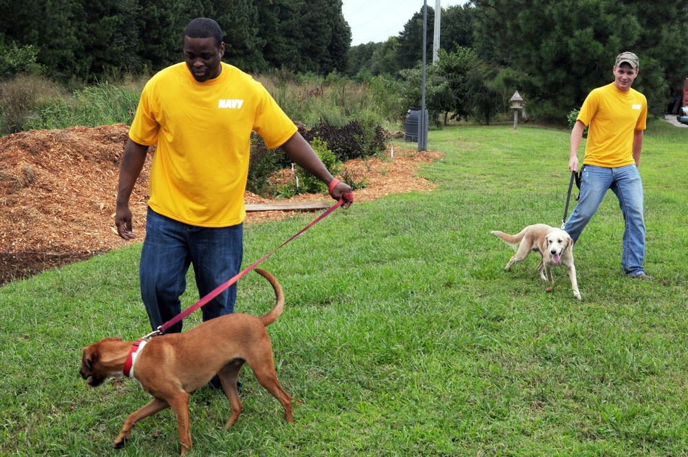 Sailors volunteer at Virginia Beach animal shelter