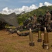 Amphibious Landing Exercise 2013