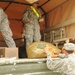 Large Package Week, Joint Operational Access Exercise 13-01