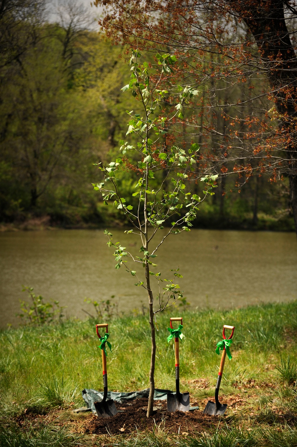 Earth Day Moon Tree Planting (200904220003HQ)