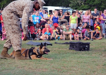 Quantico working dogs assist in alleged bomb threat