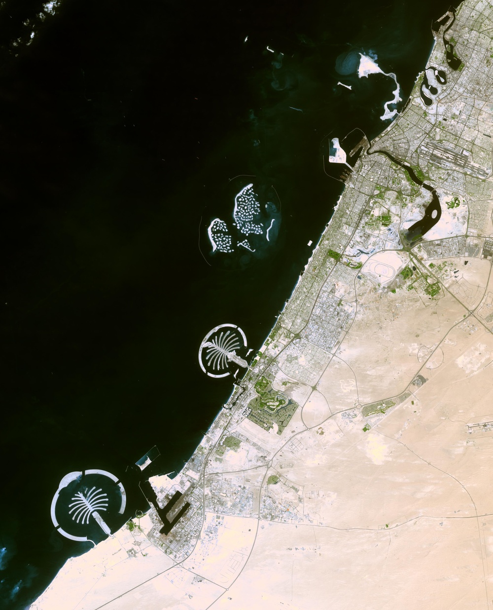 Palm Islands, Dubai: Image of the Day