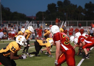 Beast takes undefeated record into playoffs