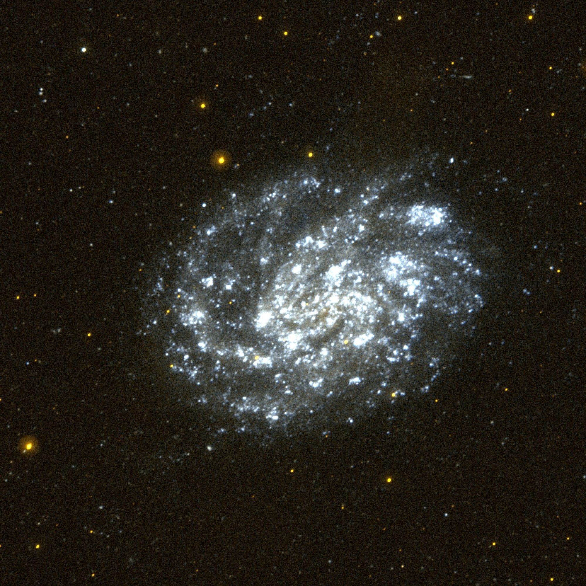 DVIDS - Images - Galaxy NGC 300
