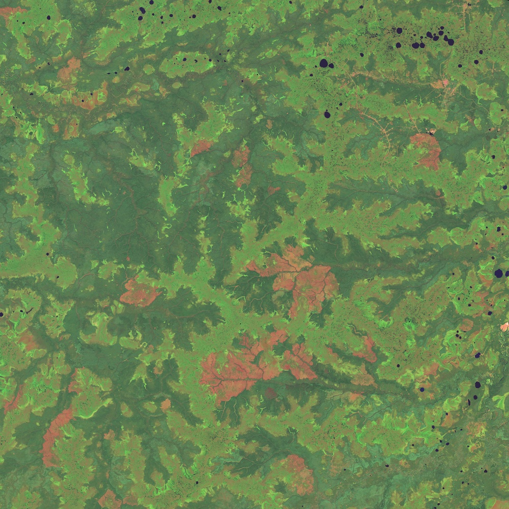 West Siberian Plain: Image of the Day