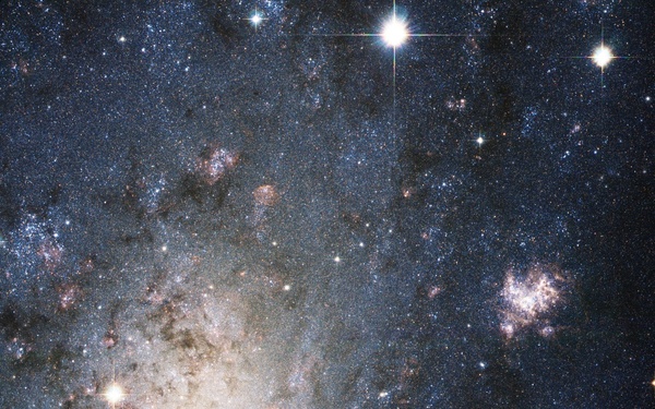 A Bright Supernova in the Nearby Galaxy NGC 2403