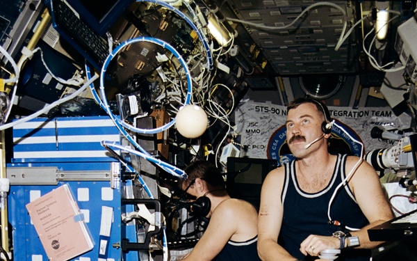 Kinelite - Hire as subject