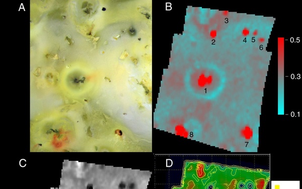 Prometheus silicates/sulfur dioxide/NIMS