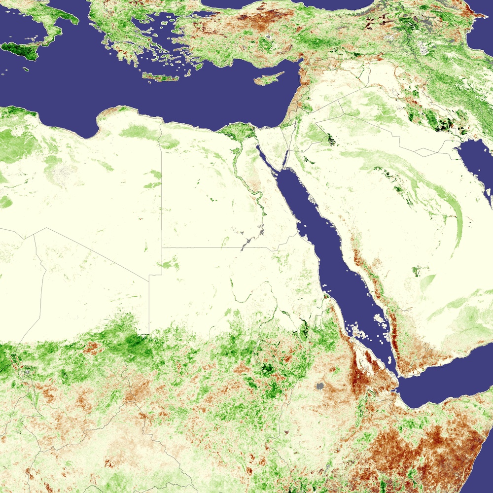 Lush Vegetation Fuels Locust Outbreak in Sudan: Image of the Day