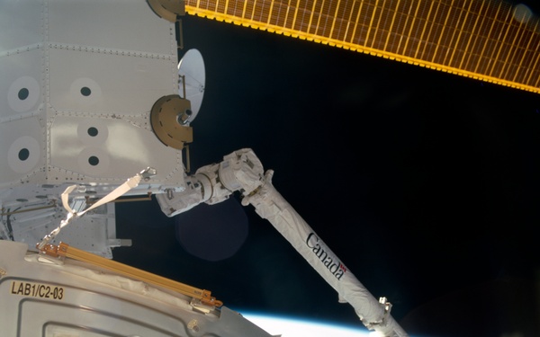 View of the SSRMS grappling the SLP during the STS-100 mission