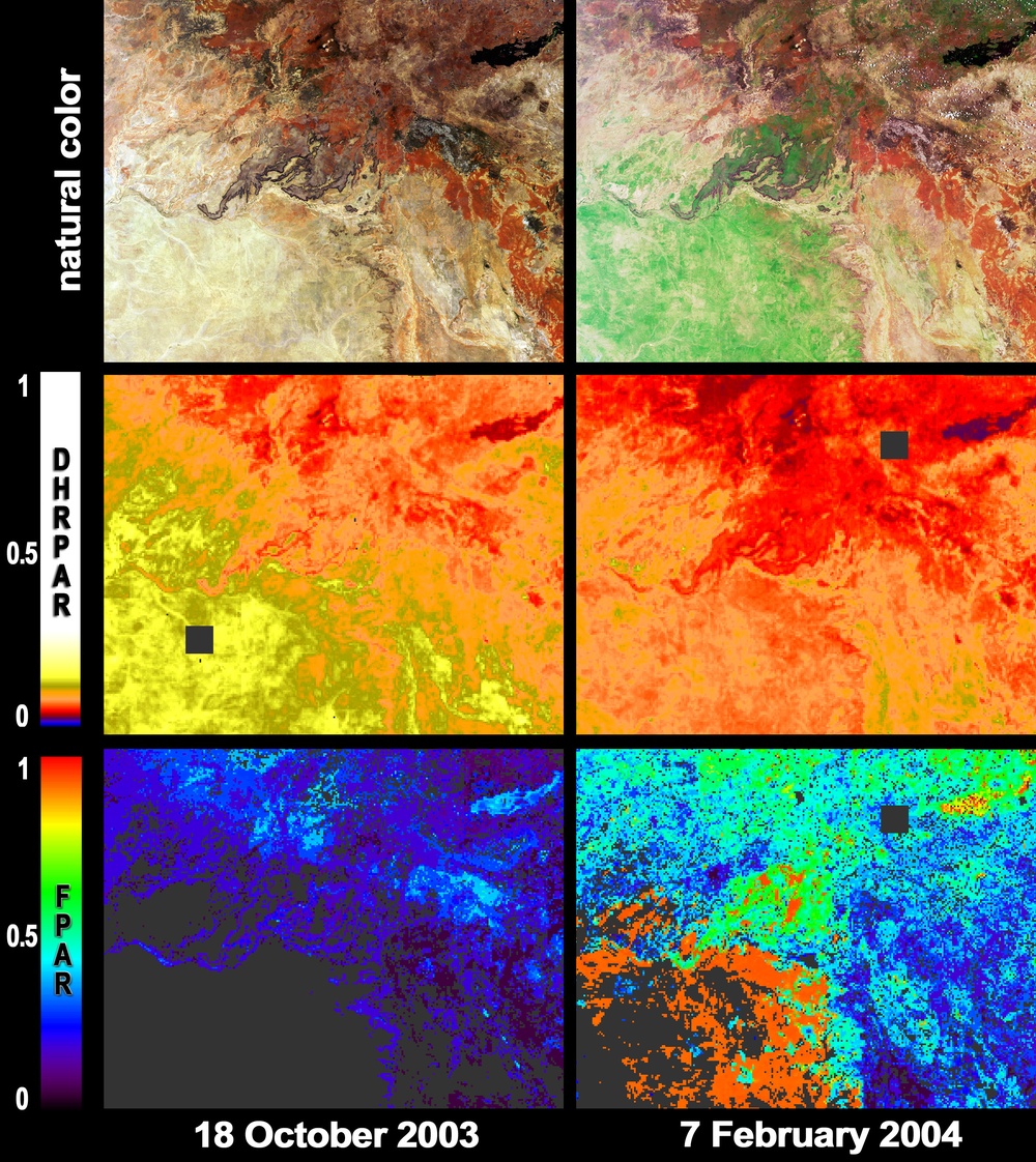 Greener Pastures in Northern  Queensland, Australia : Image of the Day