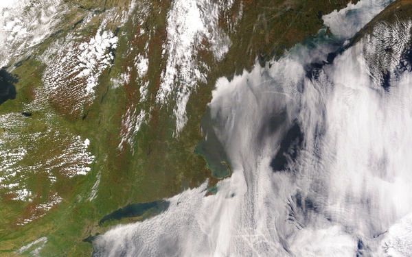 Ship Tracks over the Atlantic: Image of the Day