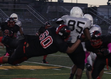 Falcons enter play-offs with final regular season win