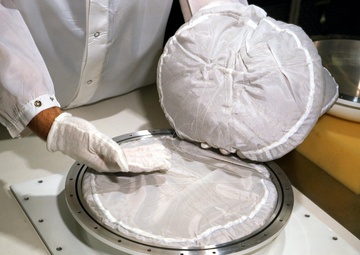 Tomato seeds for LDEF