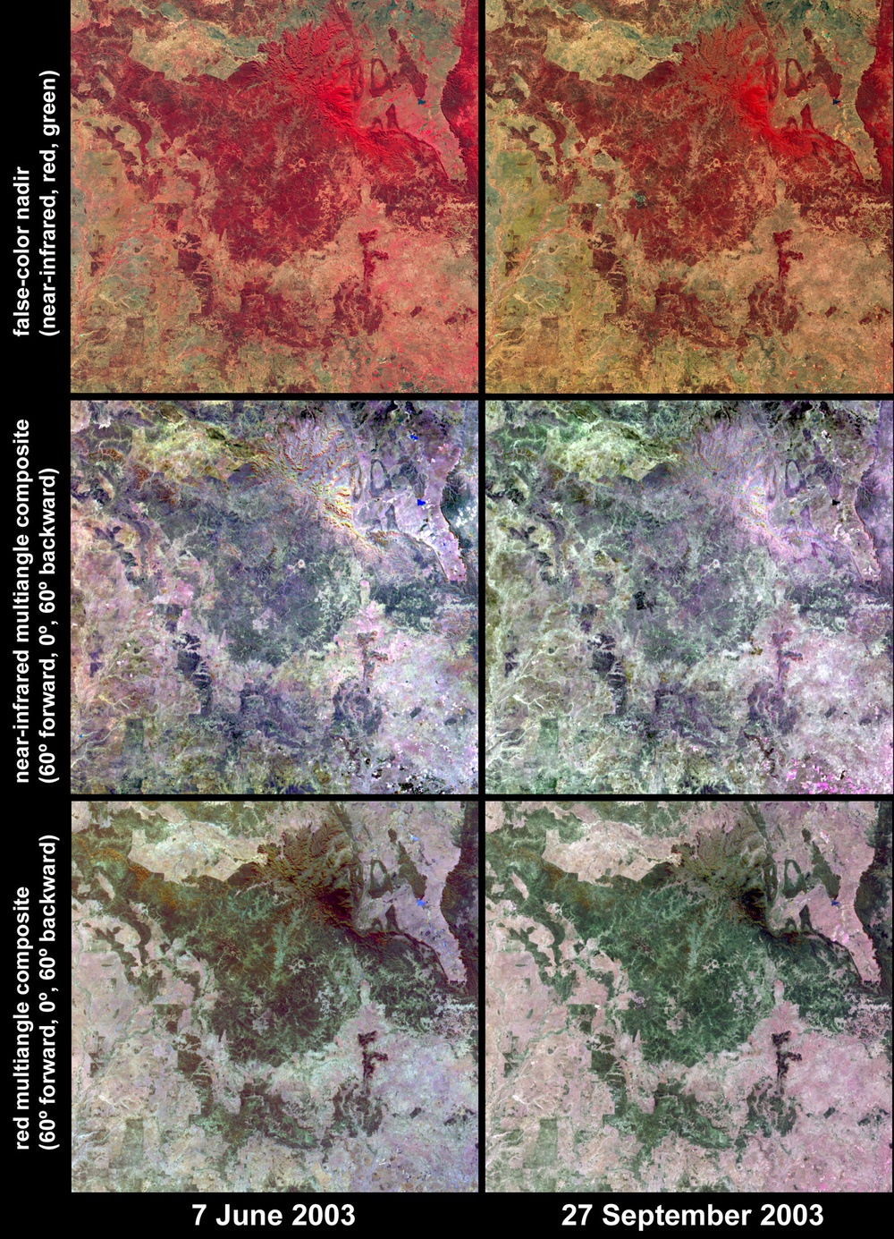 Austral Winter and Spring in Queensland's Brigalow Belt: Image of the Day