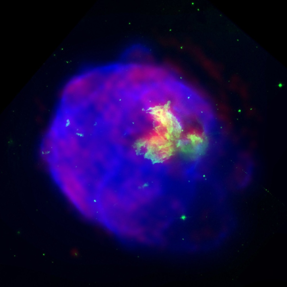 Supernova Remnant Menagerie