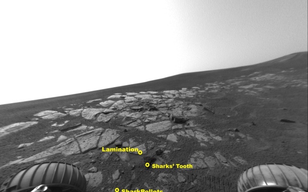 Opportunity Studies Bait in Shark's Cage