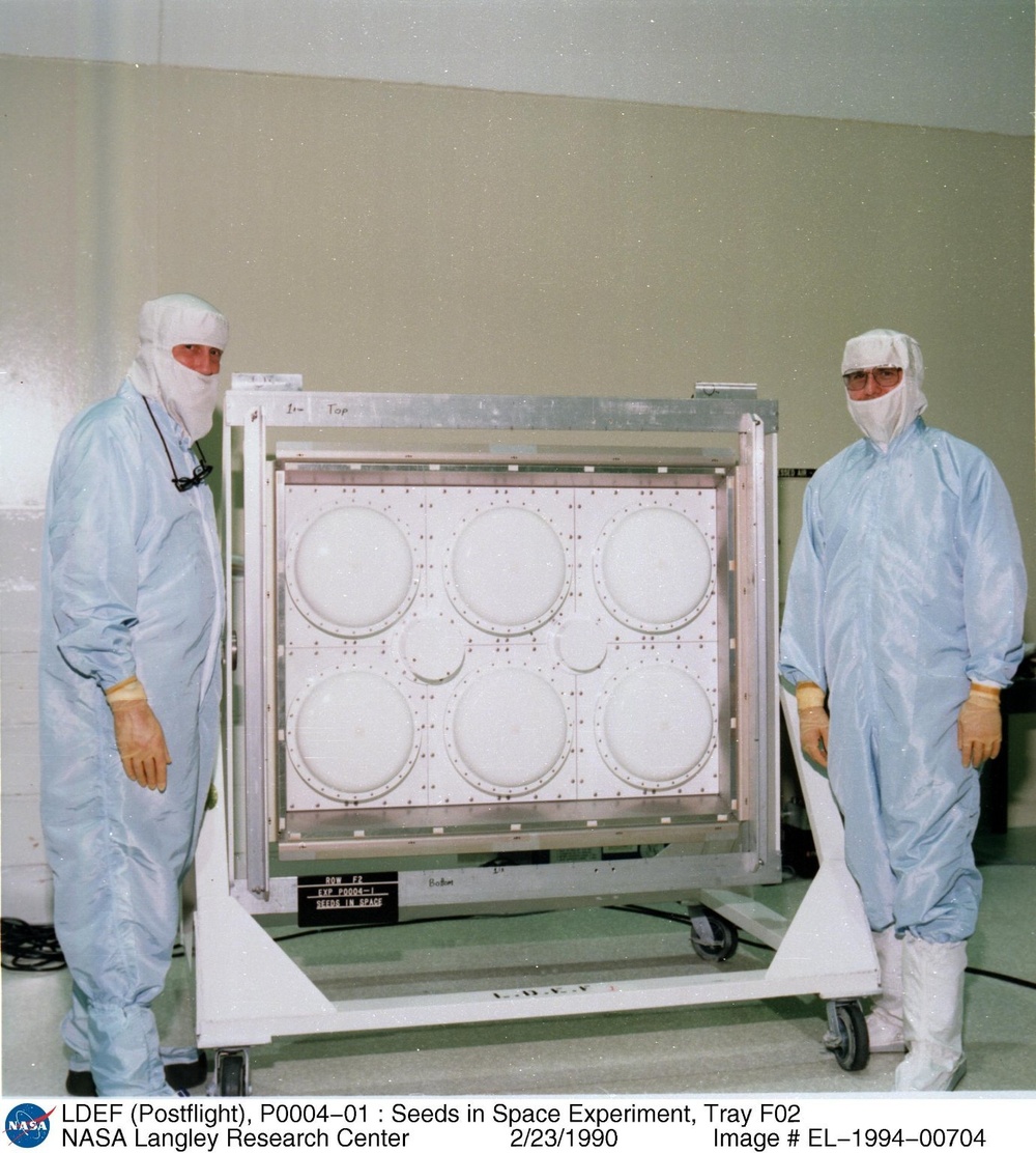 LDEF (Postflight), P0004-01 : Seeds in Space Experiment, Tray F02