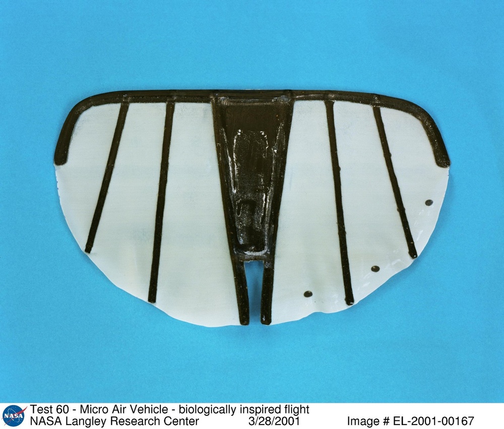 Test 60 - Micro Air Vehicle - biologically inspired flight