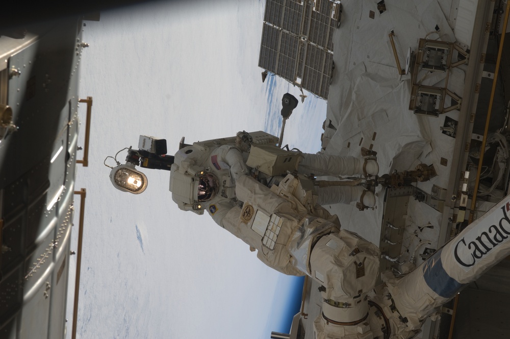 STS-119 Extravehicular Activity EVA 3 GAT SSRMS LEE B Snare Lubrication OPS