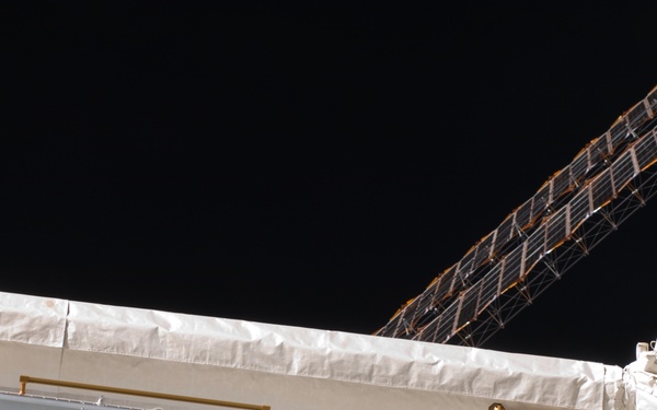 JLP during Joint Operations