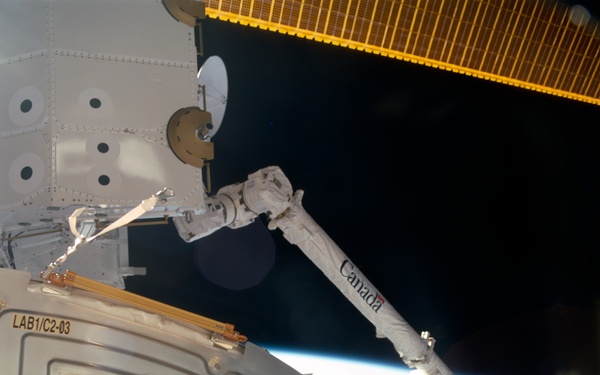 View of the SSRMS grappling the SLP during the STS-100 mission