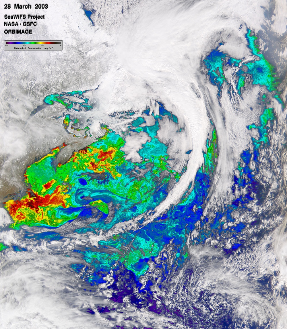 Spring Bloom in the North Atlantic: Image of the Day