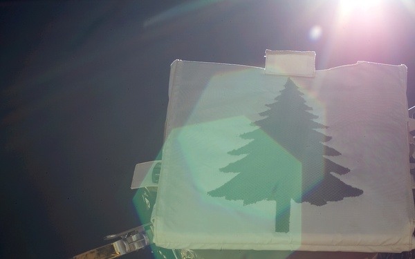 Floating Potential Probe FPP