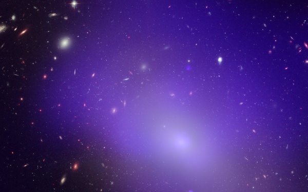 Isolated Galaxy or Corporate Merger? Hubble Spies NGC 1132