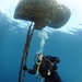 Navy diver surveys buoy