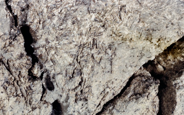 LUNAR SAMPLES - APOLLO 12 (Surveyor III)